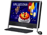 VALUESTAR G タイプN GV219N/FG