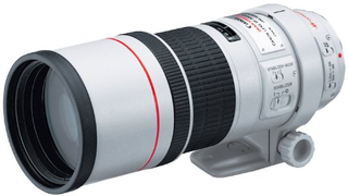 EFレンズ EF300mm F4L IS USM 単焦点レンズ 望遠