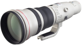 EFレンズ EF800mm F5.6L IS USM 単焦点レンズ 超望遠