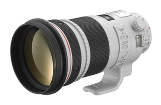 EFレンズ EF300mm F2.8L IS II USM 単焦点レンズ 望遠