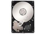 ST31000333AS (SEAGATE) 