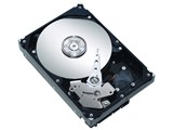 ST3160815AS (SEAGATE) 