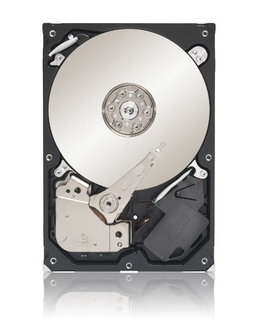 ST3250312AS (SEAGATE) 