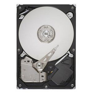 ST3250318AS (SEAGATE) 