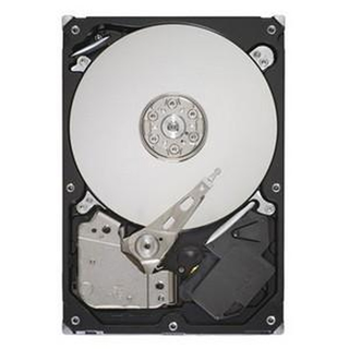 ST3500413AS (SEAGATE) 