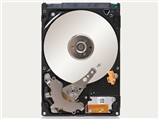 ST95005620AS (SEAGATE) 