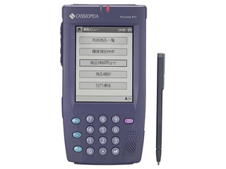 CASSIOPEIA DT-5000 M30 (カシオ) 